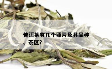 普洱茶有几个照片及其品种、茶区？