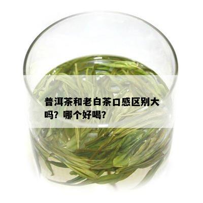 普洱茶和老白茶口感区别大吗？哪个好喝？