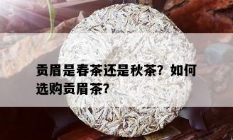 贡眉是春茶还是秋茶？如何选购贡眉茶？