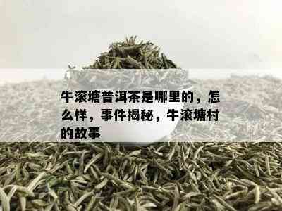 牛滚塘普洱茶是哪里的，怎么样，事件揭秘，牛滚塘村的故事