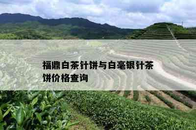 福鼎白茶针饼与白毫银针茶饼价格查询