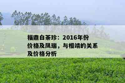 福鼎白茶珍：2016年份价格及凤瑞，与相靖的关系及价格分析