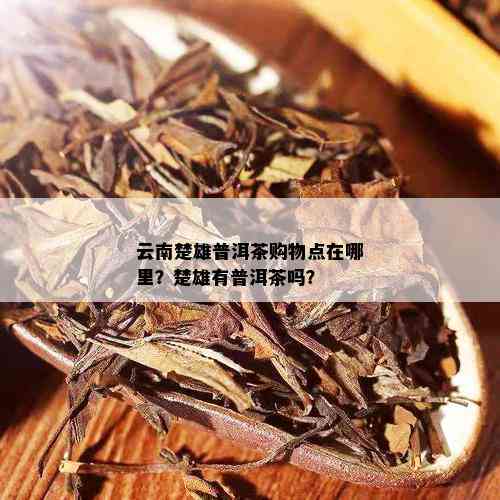 云南楚雄普洱茶购物点在哪里？楚雄有普洱茶吗？