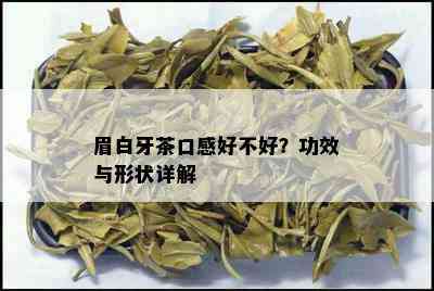 眉白牙茶口感好不好？功效与形状详解