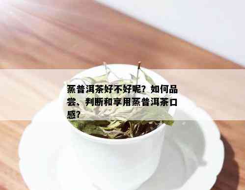 蒸普洱茶好不好呢？如何品尝、判断和享用蒸普洱茶口感？