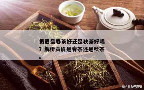 贡眉是春茶好还是秋茶好喝？解析贡眉是春茶还是秋茶。