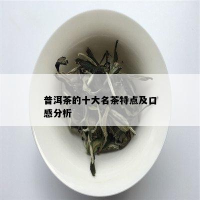 普洱茶的十大名茶特点及口感分析