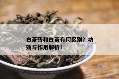 白茶砖和白茶有何区别？功效与作用解析！