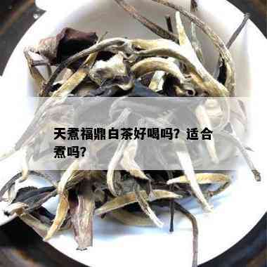 天煮福鼎白茶好喝吗？适合煮吗？