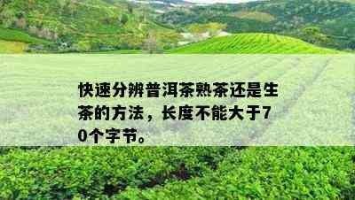 快速分辨普洱茶熟茶还是生茶的方法，长度不能大于70个字节。