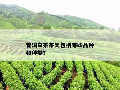 普洱白茶茶类包括哪些品种和种类？