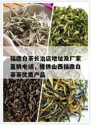 福鼎白茶长治店地址及厂家直销电话，提供山西福鼎白茶茶优质产品