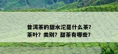 普洱茶的甜水沱是什么茶？茶叶？类别？甜茶有哪些？