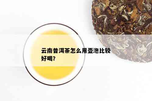 云南普洱茶怎么用壶泡比较好喝？