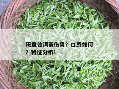 班章普洱茶伤胃？口感如何？特征分析！