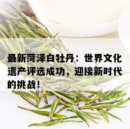 最新菏泽白牡丹：世界文化遗产评选成功，迎接新时代的挑战！