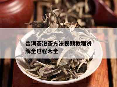 普洱茶泡茶方法视频教程讲解全过程大全