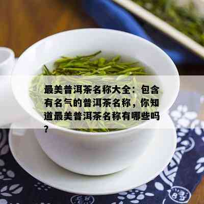 最美普洱茶名称大全：包含有名气的普洱茶名称，你知道最美普洱茶名称有哪些吗？