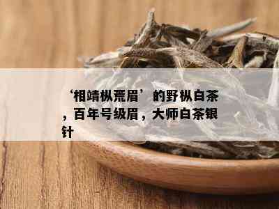 ‘相靖枞荒眉’的野枞白茶，百年号级眉，大师白茶银针