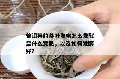 普洱茶的茶叶发糕怎么发酵是什么意思，以及如何发酵好？