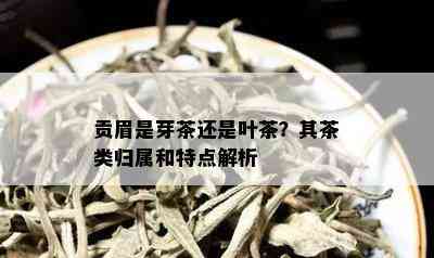 贡眉是芽茶还是叶茶？其茶类归属和特点解析