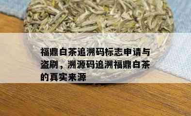 福鼎白茶追溯码标志申请与盗刷，溯源码追溯福鼎白茶的真实来源