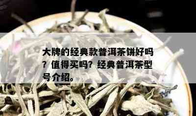 大牌的经典款普洱茶饼好吗？值得买吗？经典普洱茶型号介绍。