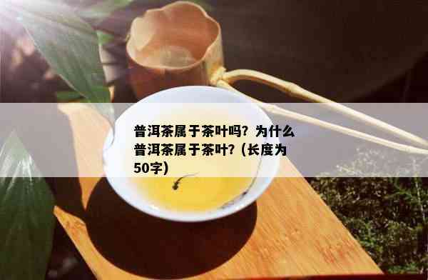 普洱茶属于茶叶吗？为什么普洱茶属于茶叶？(长度为50字)