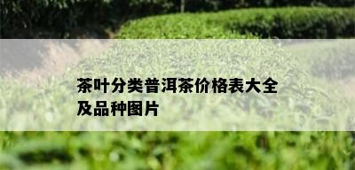 茶叶分类普洱茶价格表大全及品种图片