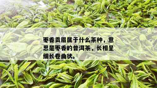 枣香贡眉属于什么茶种，意思是枣香的普洱茶，长相呈细长卷曲状。