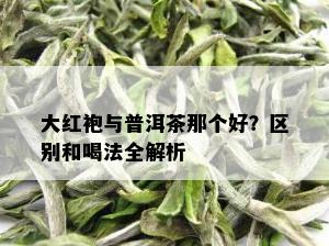 大红袍与普洱茶那个好？区别和喝法全解析