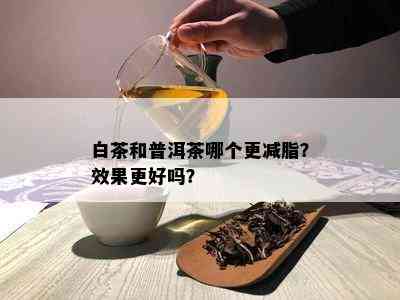 白茶和普洱茶哪个更减脂？效果更好吗？