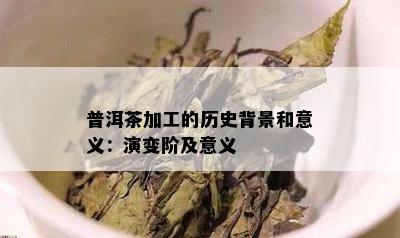 普洱茶加工的历史背景和意义：演变阶及意义