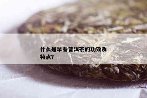 什么是早春普洱茶的功效及特点？