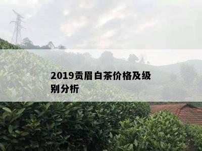 2019贡眉白茶价格及级别分析