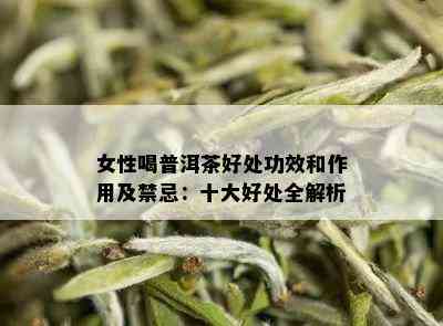 女性喝普洱茶好处功效和作用及禁忌：十大好处全解析