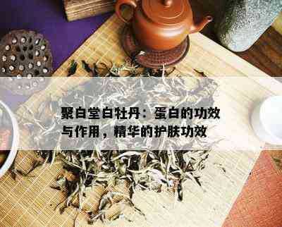 聚白堂白牡丹：蛋白的功效与作用，精华的护肤功效