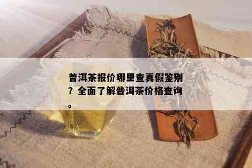 普洱茶报价哪里查真假鉴别？全面了解普洱茶价格查询。