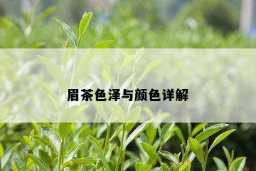 眉茶色泽与颜色详解