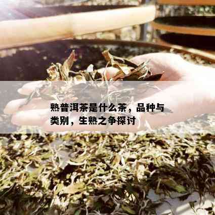 熟普洱茶是什么茶，品种与类别，生熟之争探讨