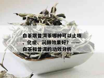 白茶跟普洱茶哪种可以止咳、化痰、润肺效果好？——白茶和普洱的功效分析