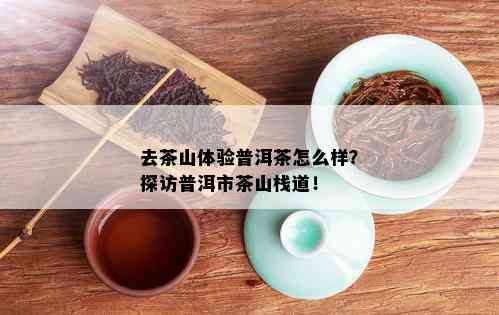 去茶山体验普洱茶怎么样？探访普洱市茶山栈道！