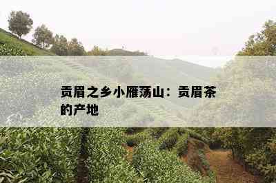 贡眉之乡小雁荡山：贡眉茶的产地