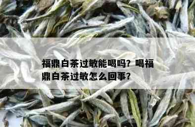 福鼎白茶过敏能喝吗？喝福鼎白茶过敏怎么回事？