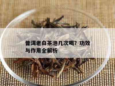 普洱老白茶泡几次喝？功效与作用全解析