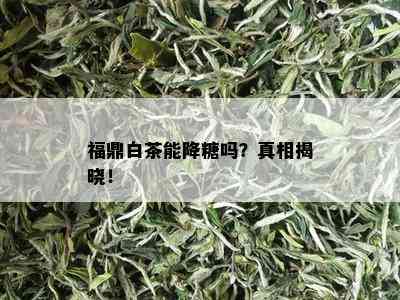 福鼎白茶能降糖吗？真相揭晓！