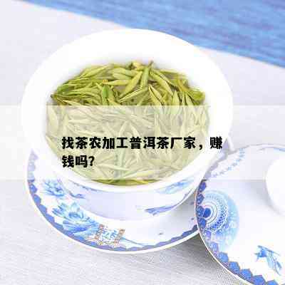 找茶农加工普洱茶厂家，赚钱吗？