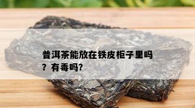 普洱茶能放在铁皮柜子里吗？有吗？