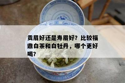 贡眉好还是寿眉好？比较福鼎白茶和白牡丹，哪个更好喝？