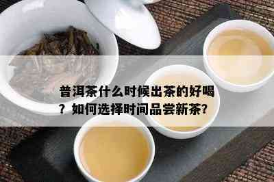 普洱茶什么时候出茶的好喝？如何选择时间品尝新茶？